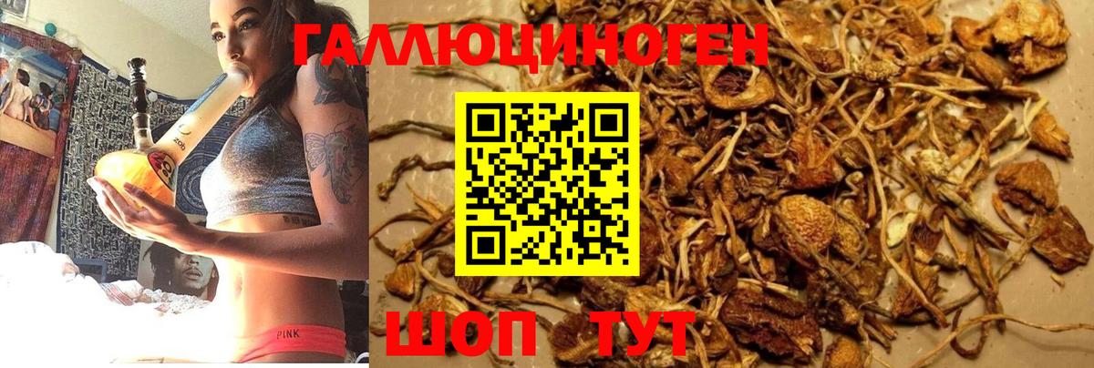 Псилоцибиновые грибы Magic Shrooms Донецк